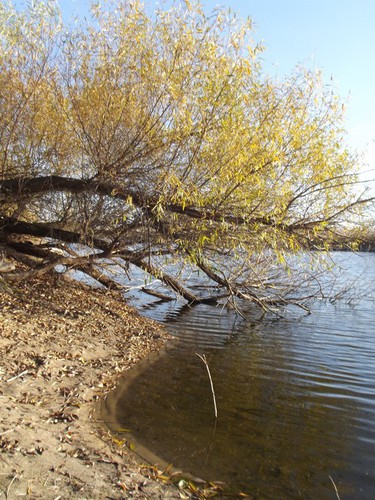 на берегу реки Султанка.