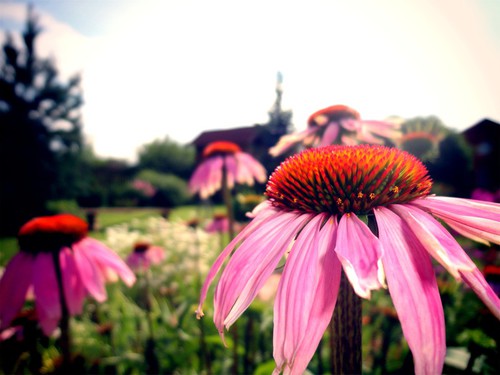 Вот какой яркой может быть весна!