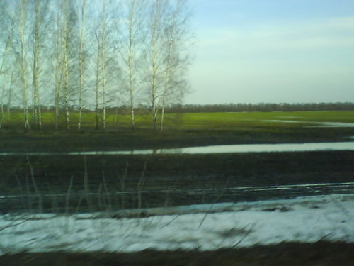 Родные просторы