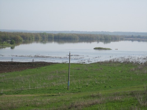 луга