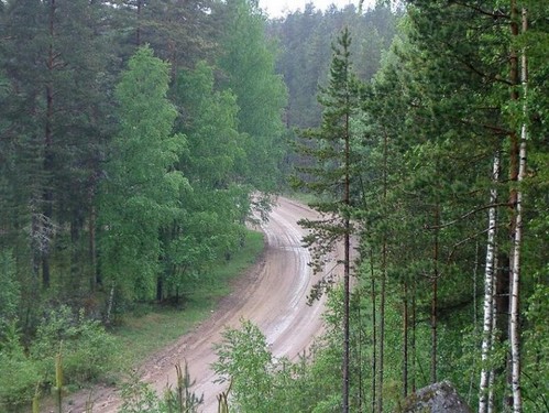 Лесное шоссе