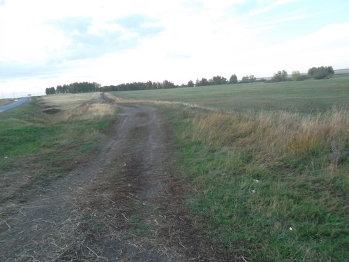 Дорога в лес