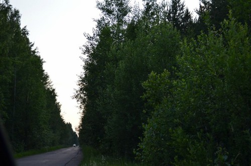 по дороге в Белозерск