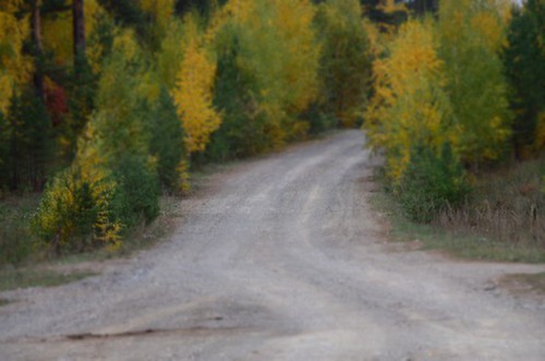 Осеннее очарование
