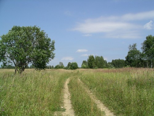 Дорога в никуда...