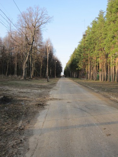 парковая дорога