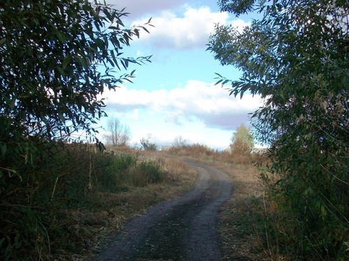 Дорога в облака