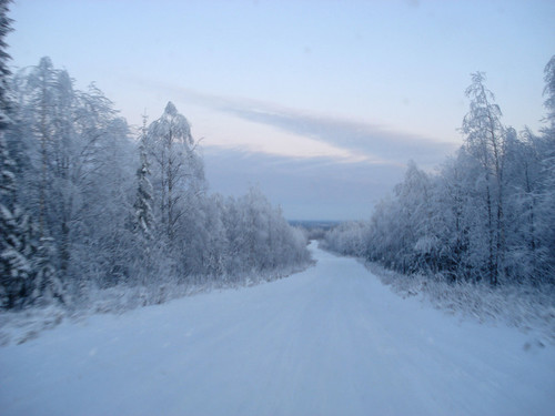 Зимняя дорога