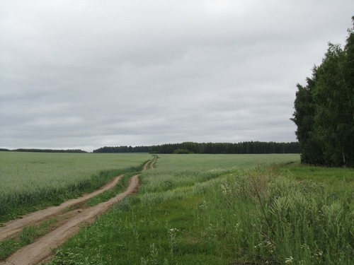 Дорога домой