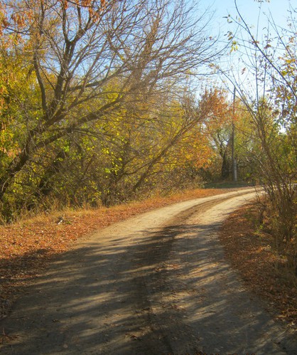 Дорога в осень