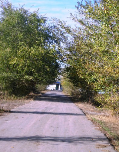 Дорога в школу
