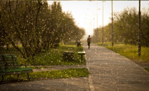 дорога в школу