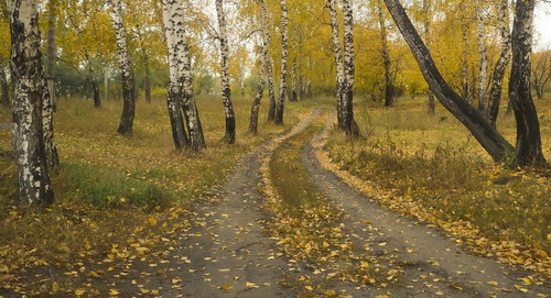 Осенняя дорога