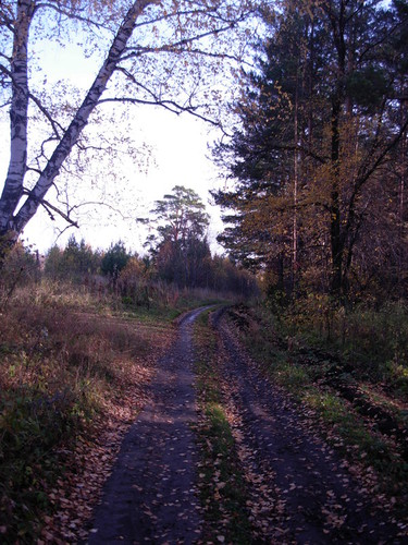 Осенняя дорога