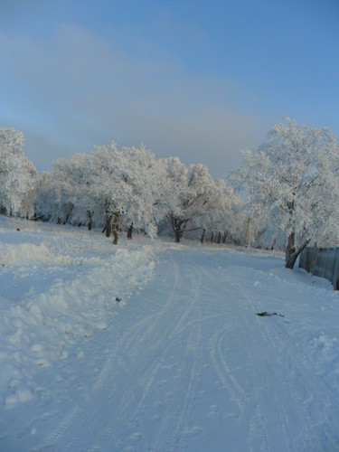 зимняя дорога