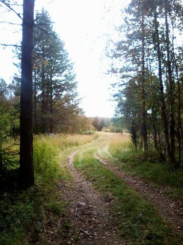 Дорога