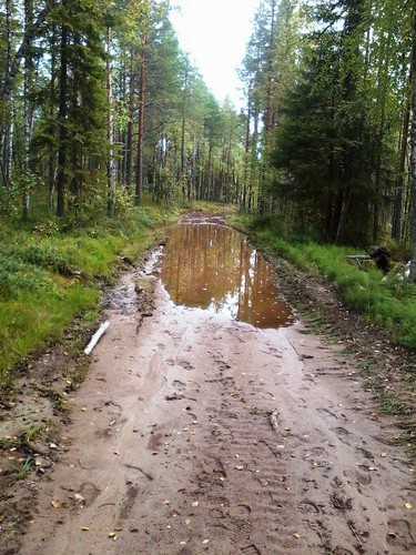 Распутица