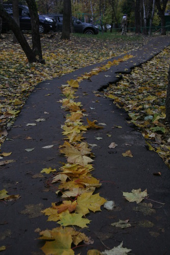 Дорога в осень...