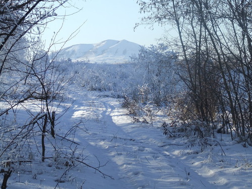Зимняя дорога