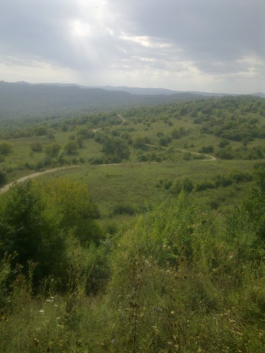 Дорога в с.Бильты