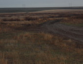 Степная дорога