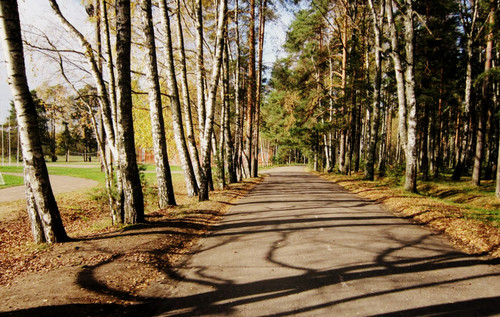 Убегающая в светлую даль...
