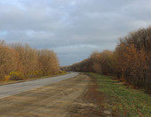 Осень