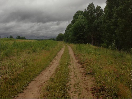 дорога в поле