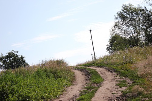 полевая дорога