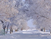 Зимняя дорога