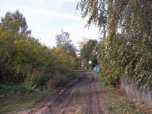 Сельская дорога