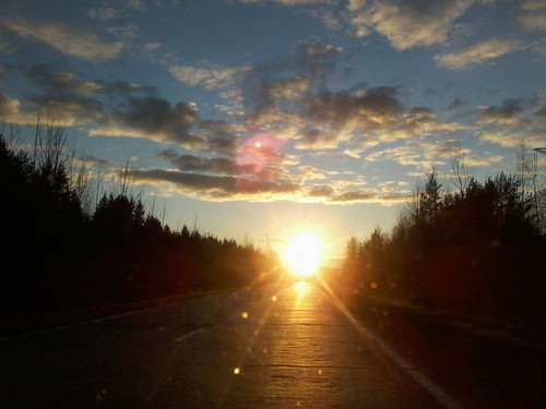 Капитонова Даша