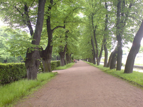Дорога в Летнем саду