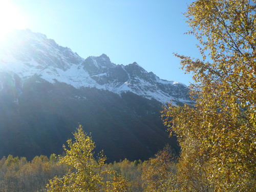 Царица осень