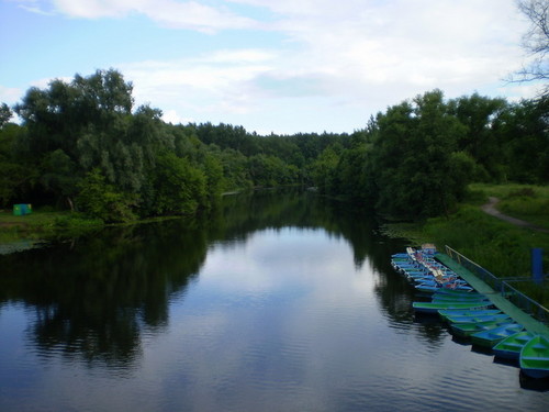 Речка Лесной Воронеж