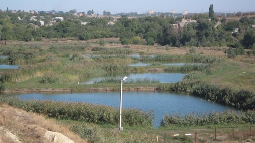 Пруды