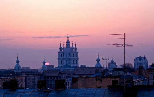красота