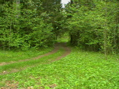 Дорога
