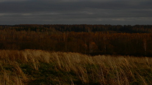 Пасмурно
