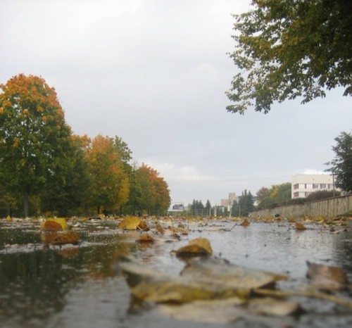 Осеннее настроение