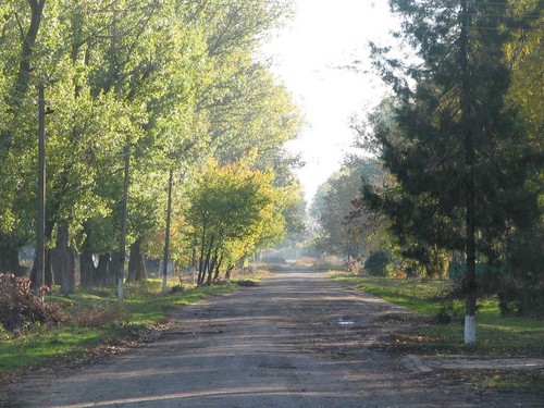 родные места