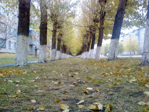 Осень в моём городе