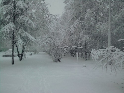 Первый снег