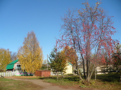 золотая осень