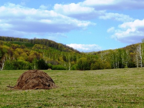 РУССКИЕ ПРОСТОРЫ