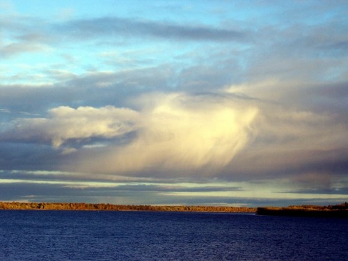 Красота