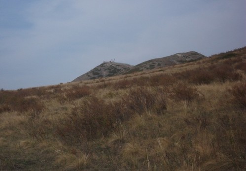 Оренбургский край