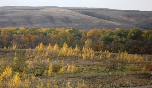 Оренбургский край