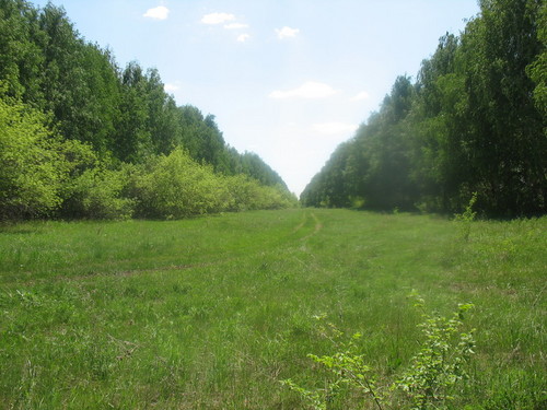 Родные просторы
