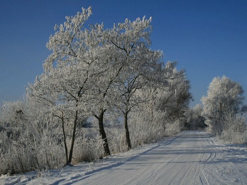 Белоснежный путь